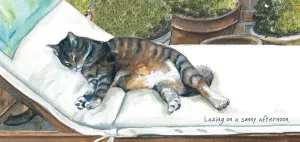 Lazy Cat Greeting Card - Lazy Sunday