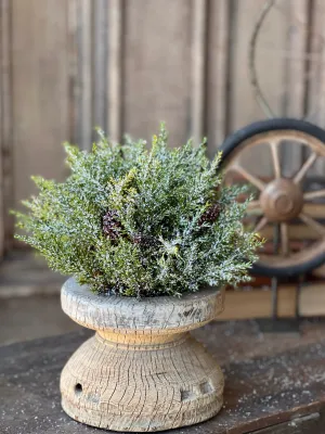 Prickly Pine Half Sphere | Snow | 12"