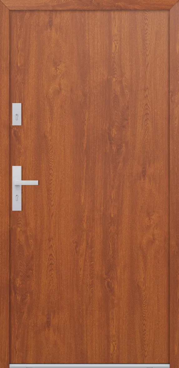 Turenwerke ATU 68 Design 507 Steel Door - Golden Oak