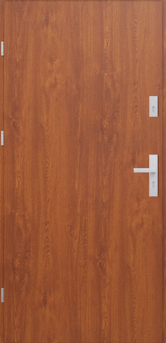 Turenwerke ATU 68 Design 507 Steel Door - Golden Oak